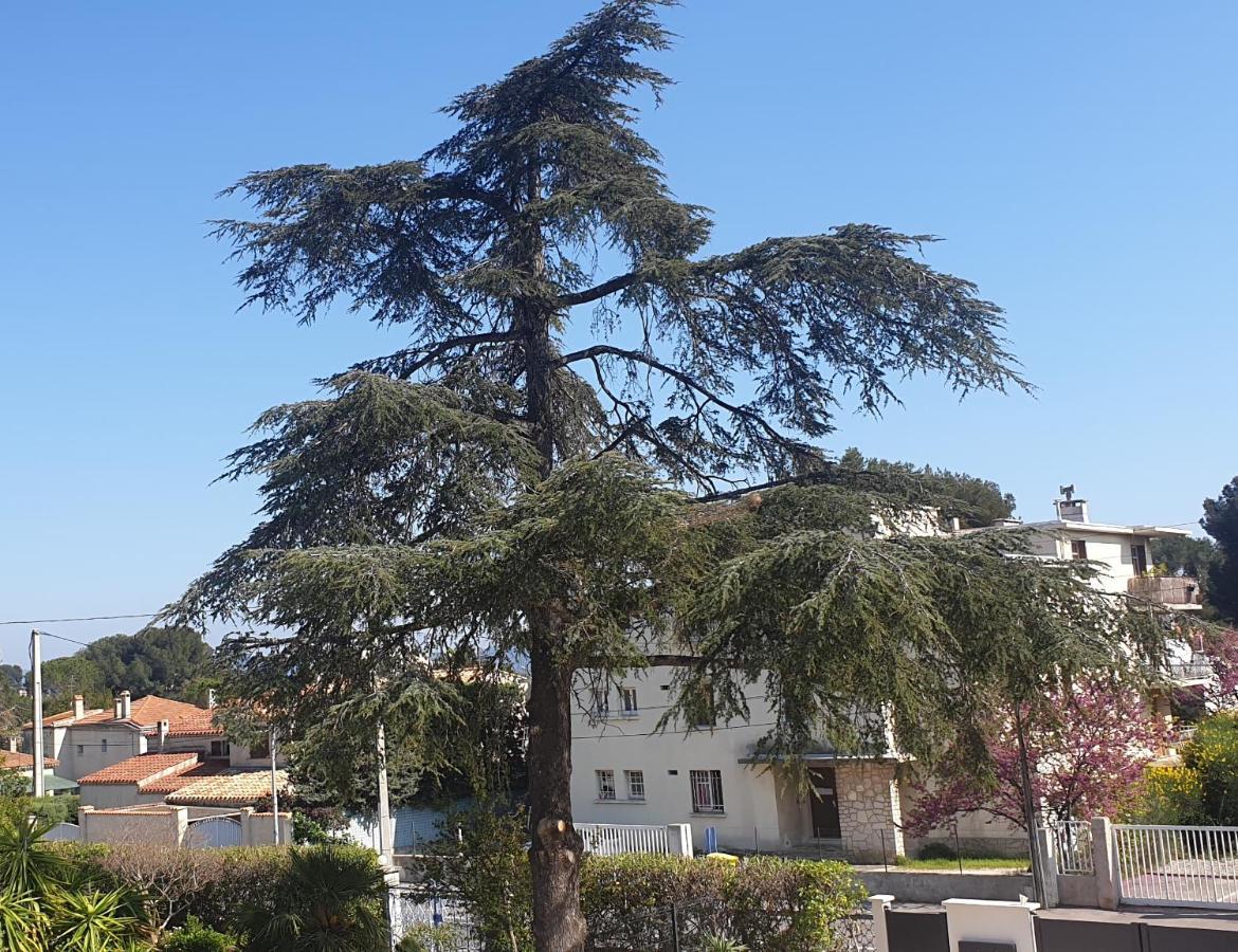 Apartmán Les Vagues Bleues La Ciotat Exteriér fotografie